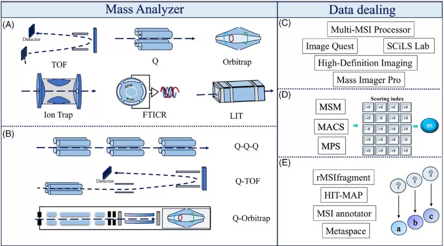 Schematic of spatial metabolomics analysis tools and data processing workflow
